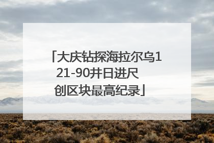 大庆钻探海拉尔乌121-90井日进尺 创区块最高纪录